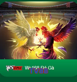 TV88